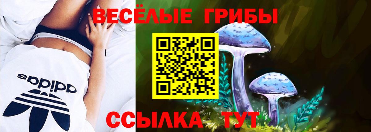 Псилоцибиновые грибы GOLDEN TEACHER Новодвинск